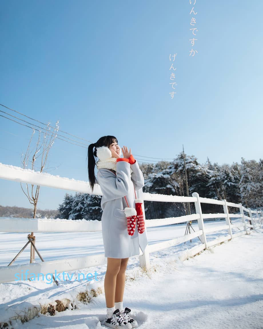 【2023-06-08】pet sunwall